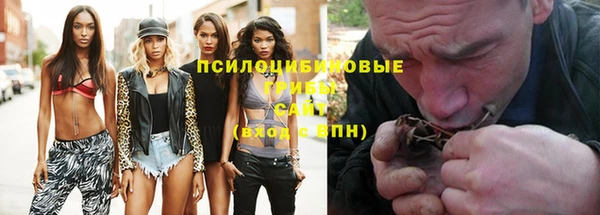 apvp Дмитровск