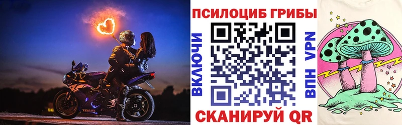 Псилоцибиновые грибы ЛСД сайты даркнета какой сайт Гдов